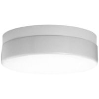 Ceiling Mounted Light 13-3/4" Width Ceiling Mounted Light 13-3/4" Width
