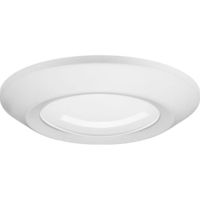 Flush Mount Ceiling Light 5-1/2" Width