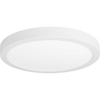 Flush Mount Ceiling Light