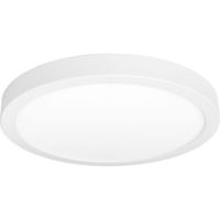 Flush Mount Ceiling Light