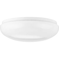 Flush Mount Ceiling Light 11" Width