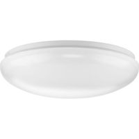Flush Mount Ceiling Light 13-3/4" Width