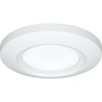 Flush Mount Ceiling Light