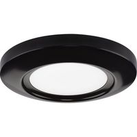 Flush Mount Ceiling Light 5-1/2" Width