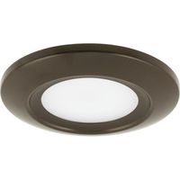 Flush Mount Ceiling Light