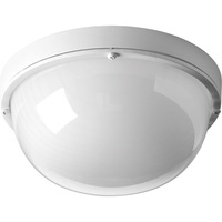 Ceiling Mounted Light 9-1/2" Width Ceiling Mounted Light 9-1/2" Width
