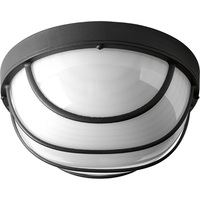 Ceiling Mounted Light 9-1/2" Width Ceiling Mounted Light 9-1/2" Width