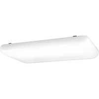 Flush Mount Ceiling Light 10-1/4" Width