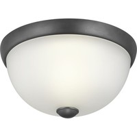 Flush Mount Ceiling Light 11" Width