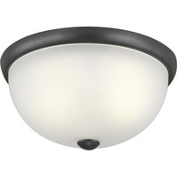 Flush Mount Ceiling Light 14" Width