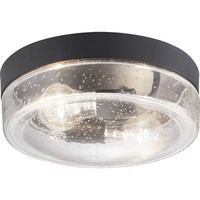Ceiling Mounted Light 10-3/4" Width Ceiling Mounted Light 10-3/4" Width