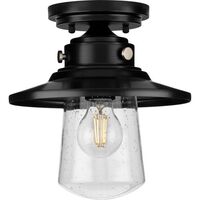 Ceiling Mounted Light 9" Width