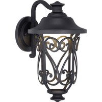 Outdoor Wall Light 13-5/8" Height