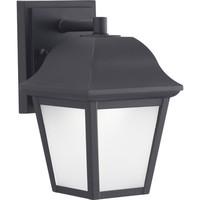 Outdoor Wall Light 8-7/8" Height