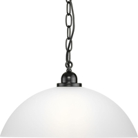 Down Light Pendant 15" Width