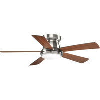 Large Ceiling Fan