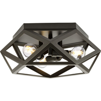 Flush Mount Ceiling Light 14-31/50" Width