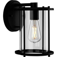 Outdoor Wall Light 9-1/2" Height