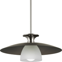 Down Light Pendant 18" Width