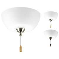 Ceiling Fan Light Kits 2