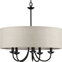 Mid Sized Chandelier 21-5/8" Width