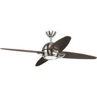 Large Ceiling Fan