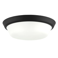 Flush Mount Ceiling Light 16" Width