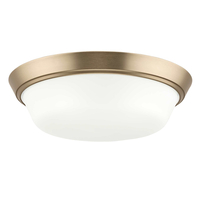 Flush Mount Ceiling Light 16" Width