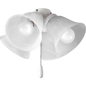 Pp264330wb Fan Light Kits Ceiling Fan Light Kit Light Kits