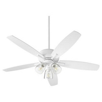 Large Ceiling Fan