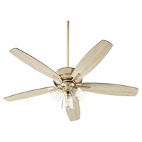 Large Ceiling Fan