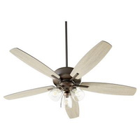 Large Ceiling Fan