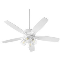 Large Ceiling Fan