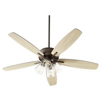 Large Ceiling Fan