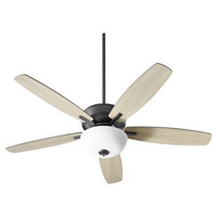 Large Ceiling Fan