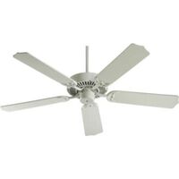 Large Ceiling Fan