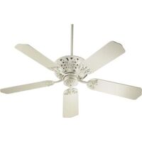 Large Ceiling Fan