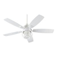 Large Ceiling Fan