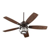 Large Ceiling Fan