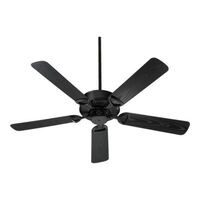 Large Ceiling Fan