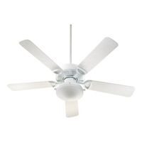 Large Ceiling Fan