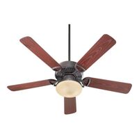 Large Ceiling Fan