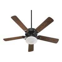 Large Ceiling Fan