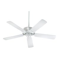 Large Ceiling Fan