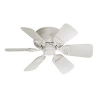 Small Ceiling Fan