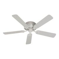 Large Ceiling Fan