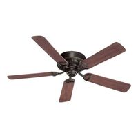 Large Ceiling Fan