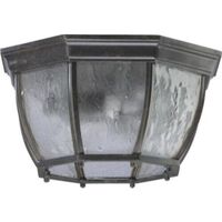 Ceiling Mounted Light 12-3/4" Width Ceiling Mounted Light 12-3/4" Width