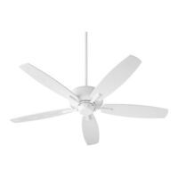 Large Ceiling Fan