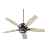 Large Ceiling Fan